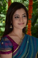 Nisha Agarwal Saree Photos